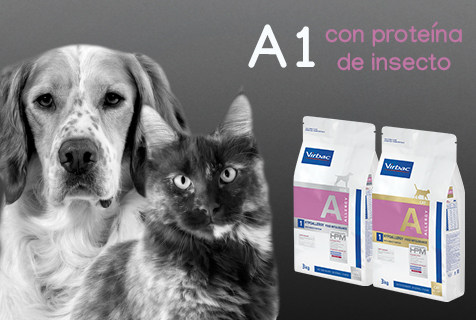 descubre cómo virbac está a la vanguardia de la innovación en salud animal, ofreciendo soluciones efectivas y sostenibles para el bienestar de tus mascotas y ganado. ¡conoce nuestros productos revolucionarios hoy!