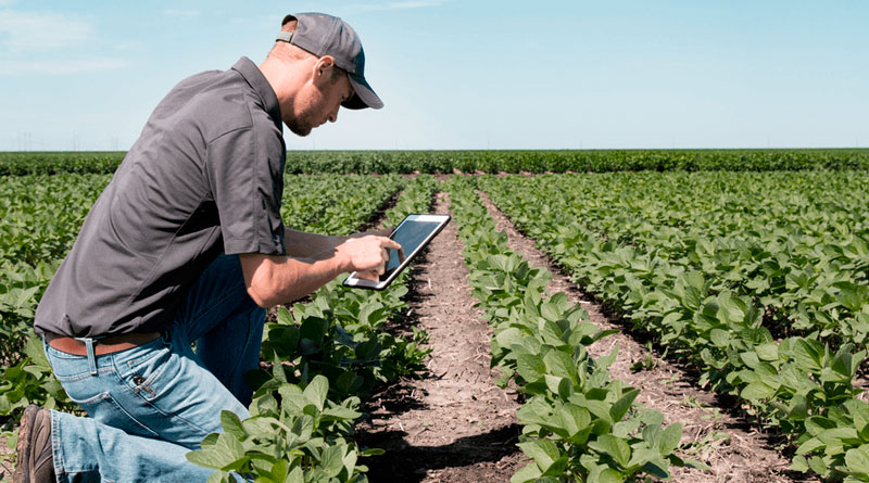 descubre cómo la innovación agrícola está transformando la producción de alimentos, mejorando la sostenibilidad y optimizando los procesos en el campo. conoce las últimas tecnologías y prácticas que están revolucionando la agricultura.