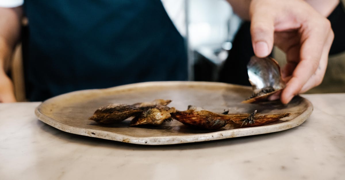 descubre las últimas innovaciones culinarias que están revolucionando la gastronomía. desde técnicas vanguardistas hasta ingredientes sorprendentes, explora cómo la creatividad en la cocina está transformando la experiencia gastronómica.